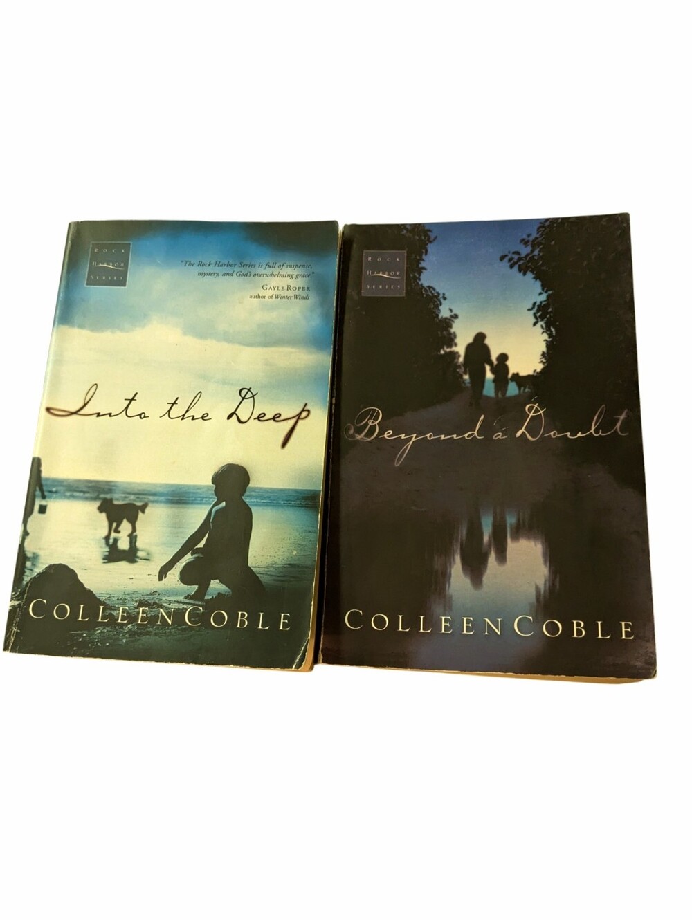 Beyond A Doubt & Into the Deep - Rock Harbor Series #2 & #3
